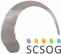 Stichting voor CSO Groningen